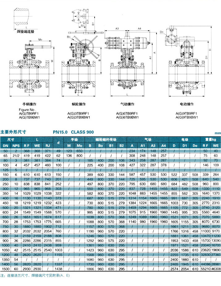 全径式固定球阀 900Lb 